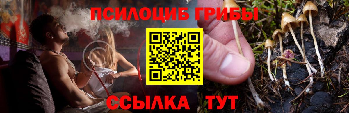 Горно-Алтайск  Псилоцибиновые грибы Magic Shrooms  Вход с VPN 